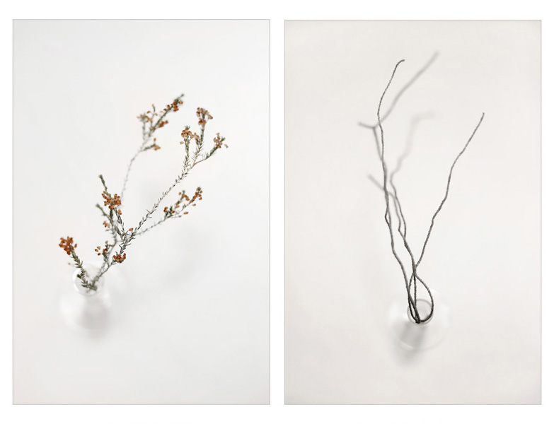 Konstans Zafeiri, greek fine art  photographer, awarded artist, Botanical, limited edition photography