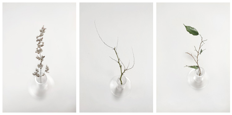 Konstans Zafeiri, greek fine art  photographer, awarded artist, Botanical, limited edition photography