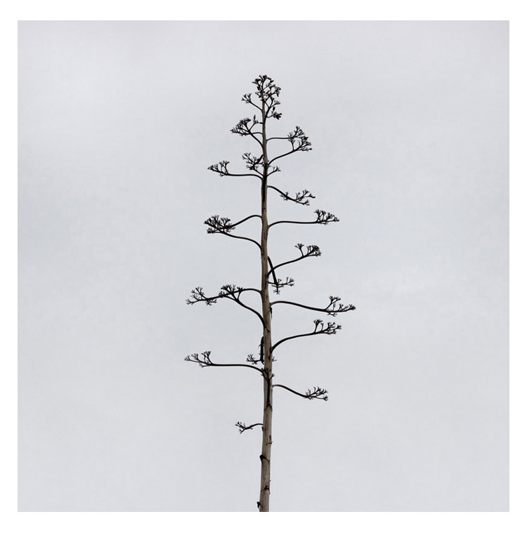 Konstans Zafeiri, greek fine art  photographer, awarded artist, urban elements, limited edition photography