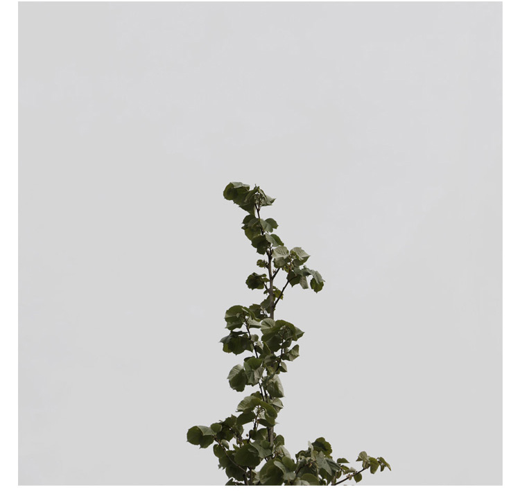 Konstans Zafeiri, greek fine art  photographer, awarded artist, urban elements, limited edition photography