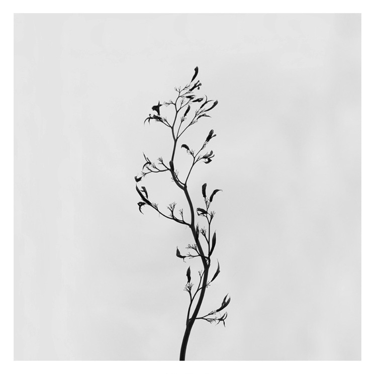 Konstans Zafeiri, greek fine art  photographer, awarded artist, urban elements, limited edition photography