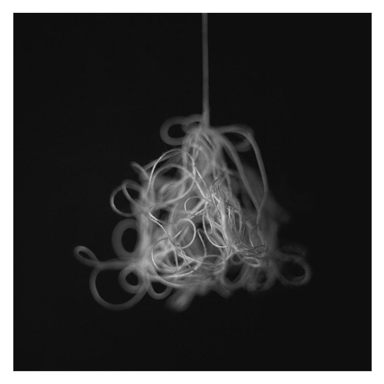 Konstans Zafeiri, greek fine art  photographer, awarded artist, The unique complexity of being, film analog Black & white, limited edition photography