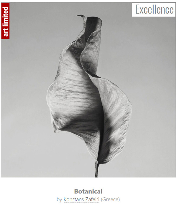 BOTANICAL – ARTLIMITED FEATURED