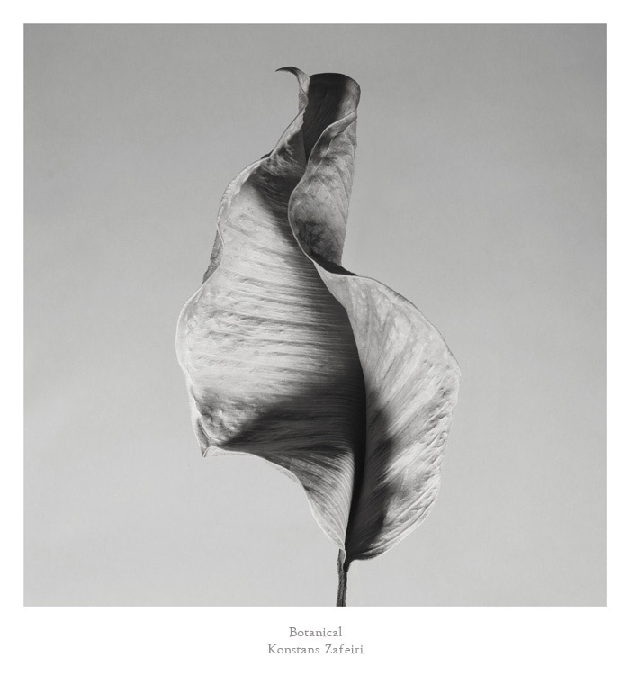 Konstans Zafeiri, greek fine art  photographer, awarded artist, limited edition photography