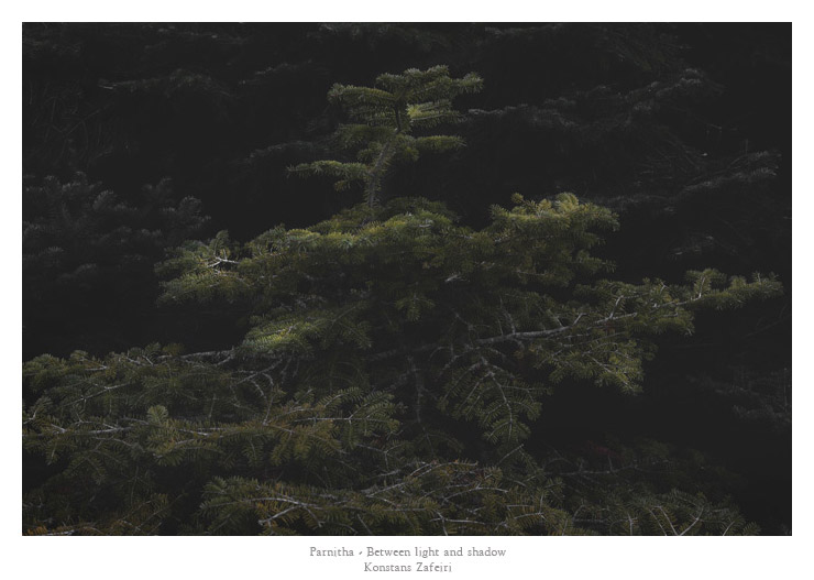 Konstans Zafeiri, greek fine art  photographer, awarded artist, limited edition photography