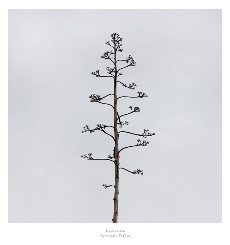 Konstans Zafeiri, greek fine art  photographer, awarded artist, limited edition photography