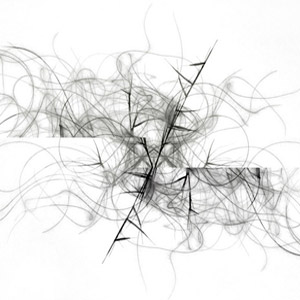 Rorschach Flower - Inlenso fine art photography - Konstans Zafeiri 